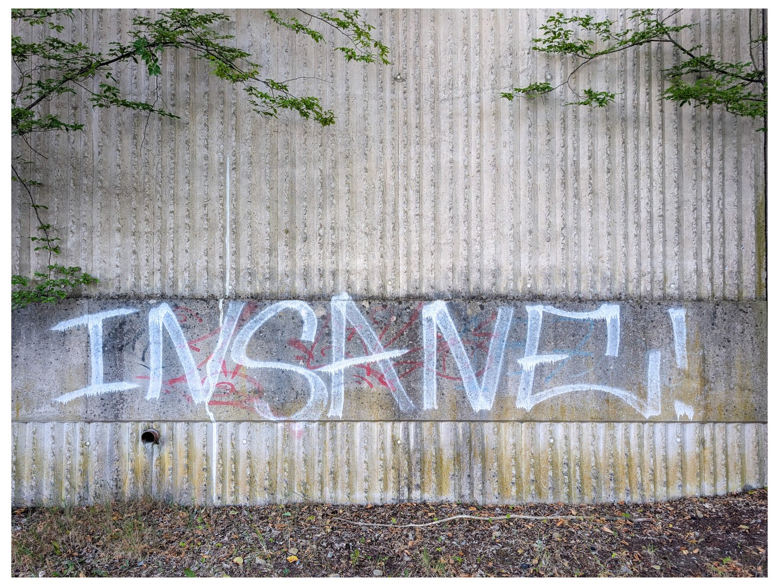 pxl 20260726 082124622