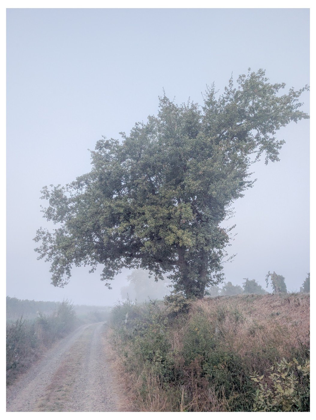 pxl 20260922 055757226 copy 1054x1400