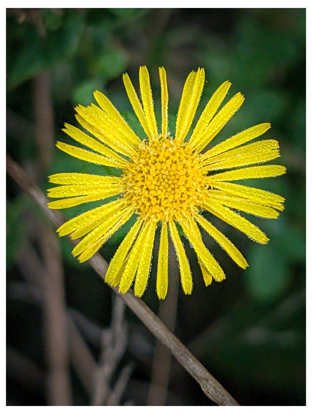 pxl 20260923 061259495 copy 1054x1400