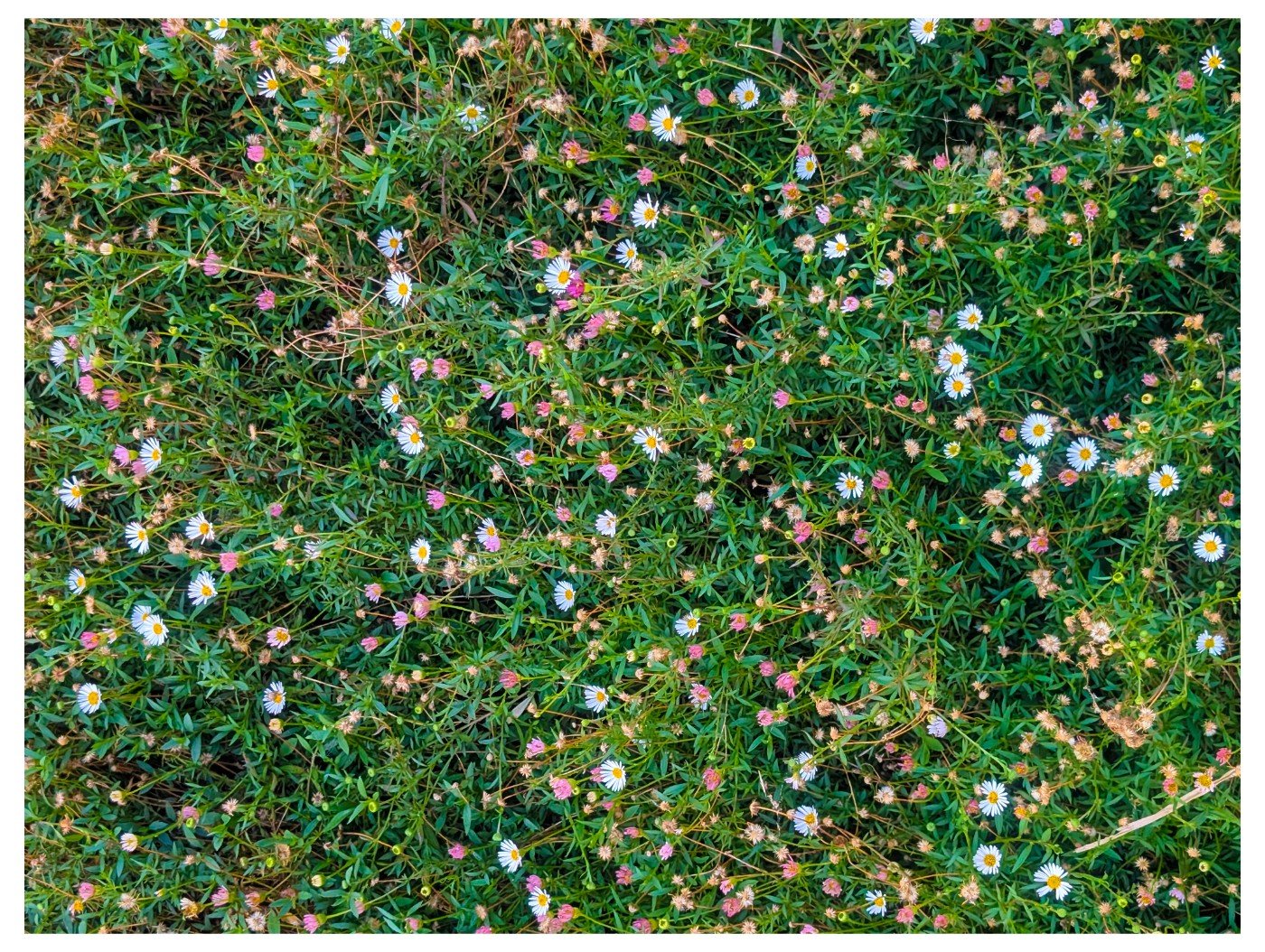 pxl 20260924 095854250 copy 1400x1054