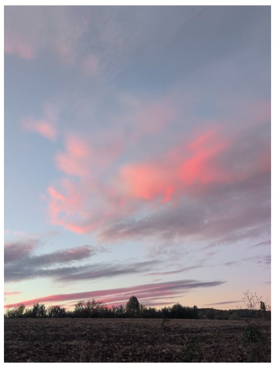 img 20261010 wa0002 (1)